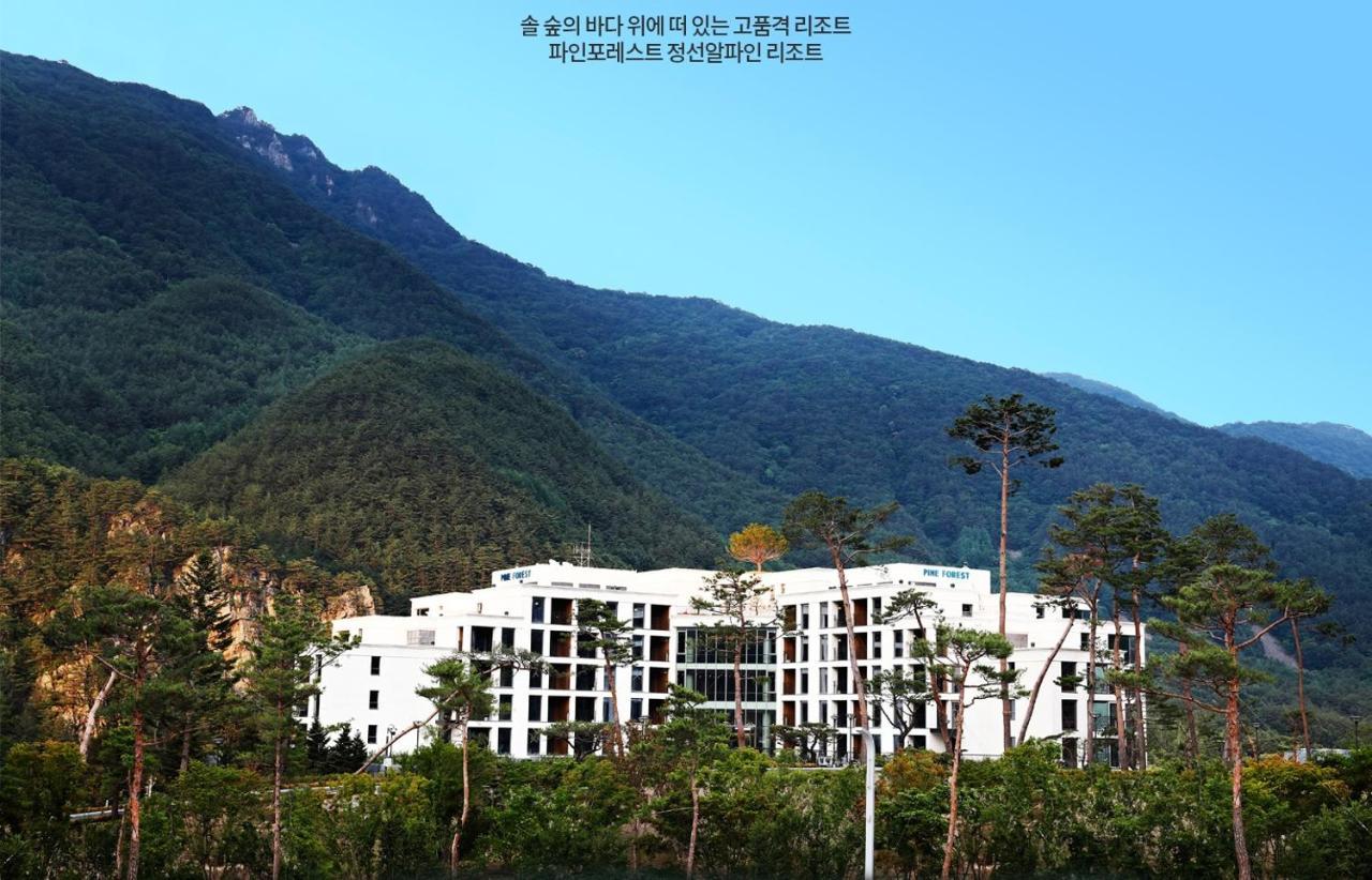 Pine Forest Jeongseon Alpine Resort Buitenkant foto