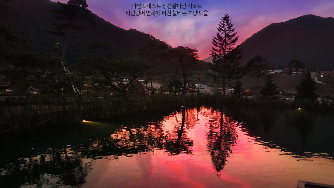 Pine Forest Jeongseon Alpine Resort Buitenkant foto